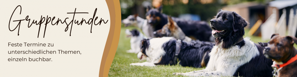 Gruppenstunden