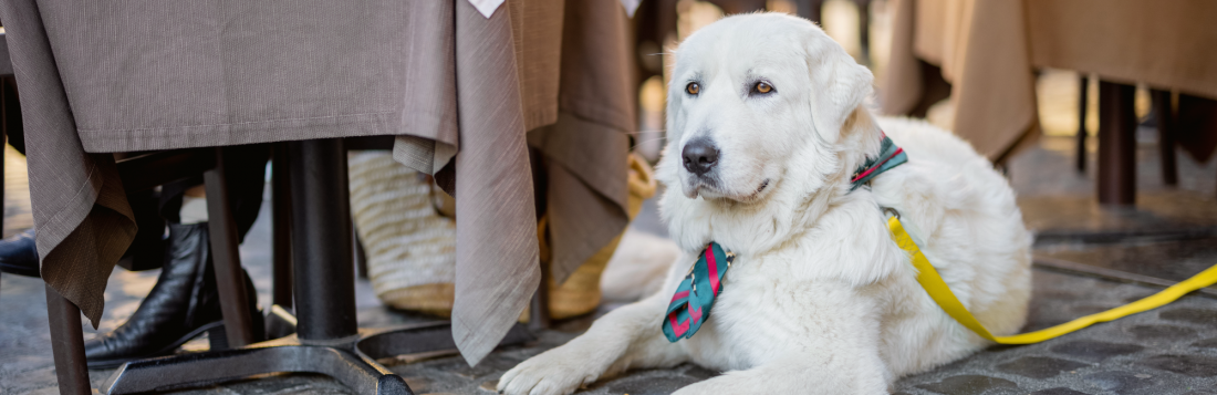 Entspannt in der Stadt